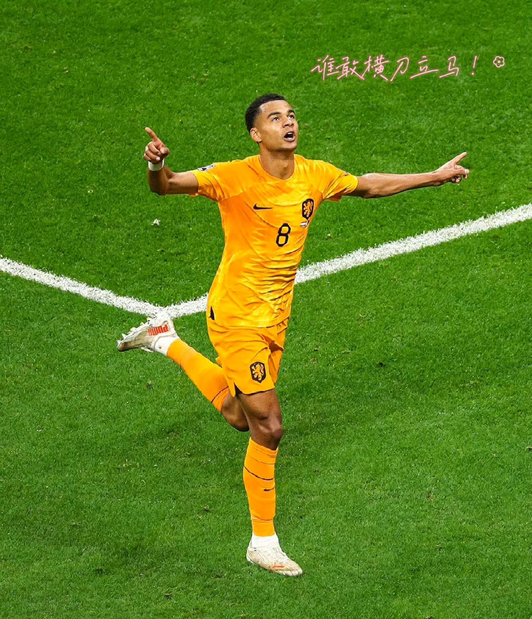 星空体育app-荷兰队选手再获好成绩,赢得观众喝彩-第2张图片-星空体育官方网站 星空体育app-荷兰队选手再获好成绩,赢得观众喝彩-第2张图片-星空体育官方网站