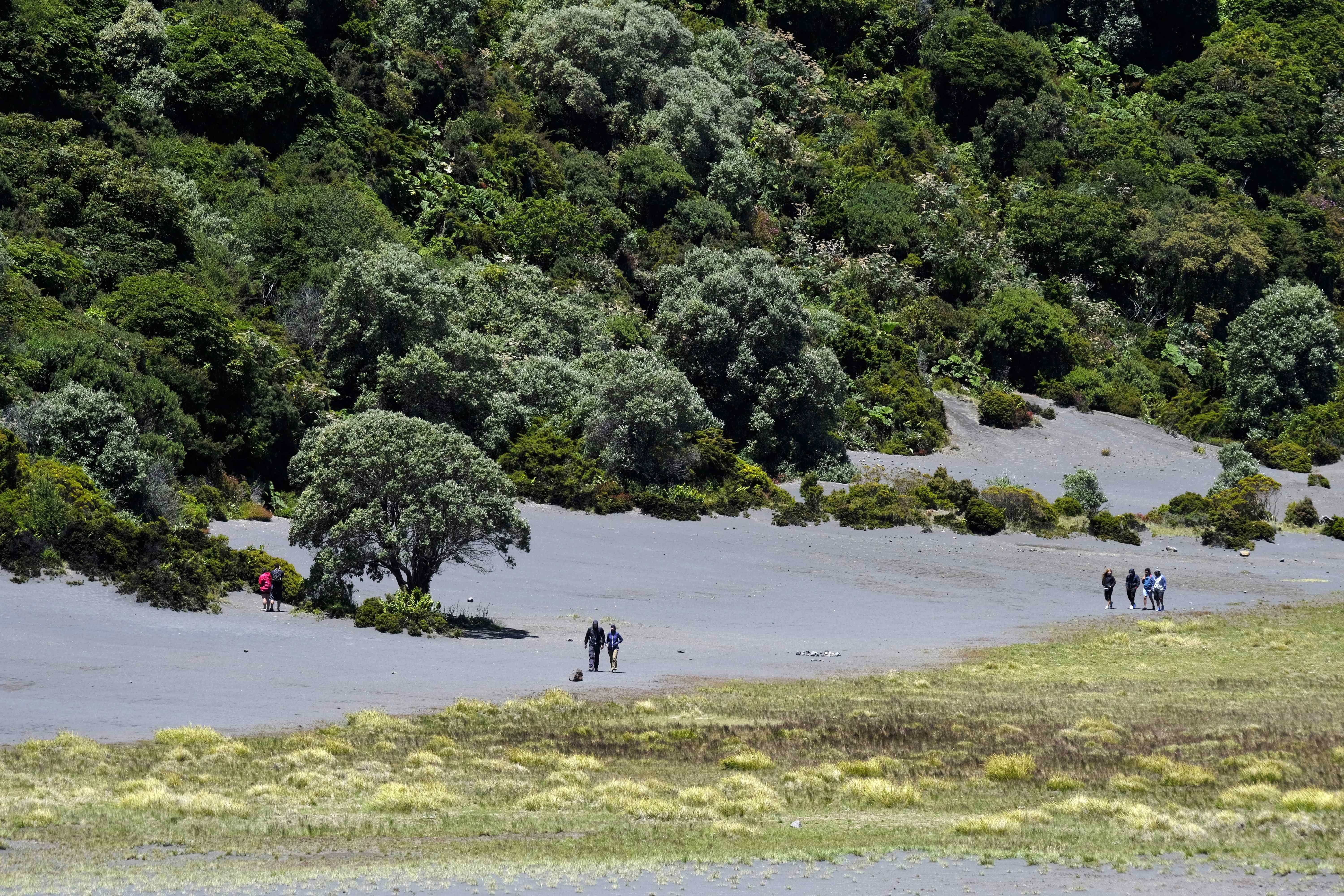 星空体育官网-巴拉圭情欲音乐突然失依，哥斯达黎加预感2-第1张图片-星空体育官方网站
